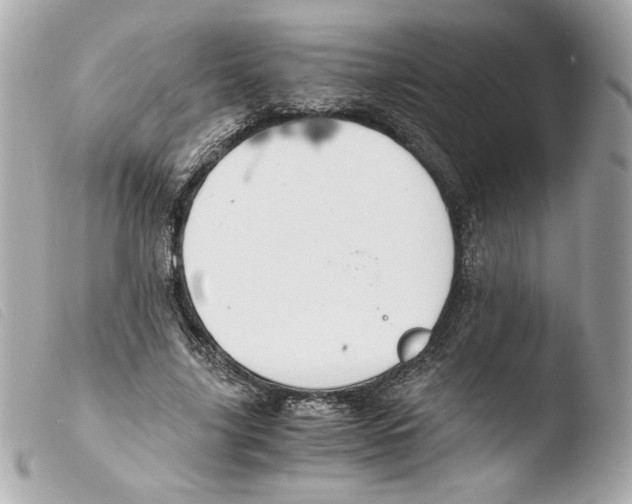 X0000103500635200810101047