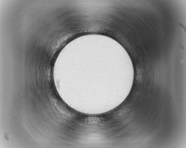 X0000103500636200810101047