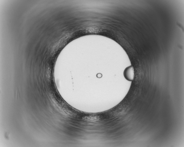 X0000103500639200810101047