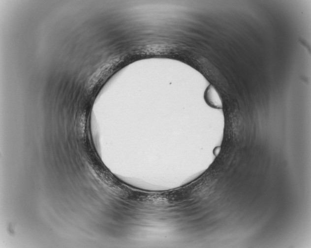 X0000103500640200810101047