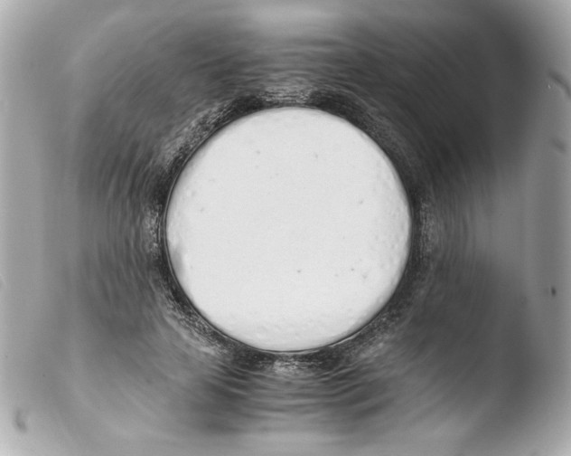 X0000103500641200810101047