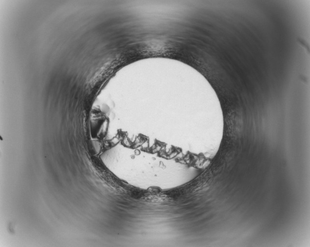 X0000103500642200810101047