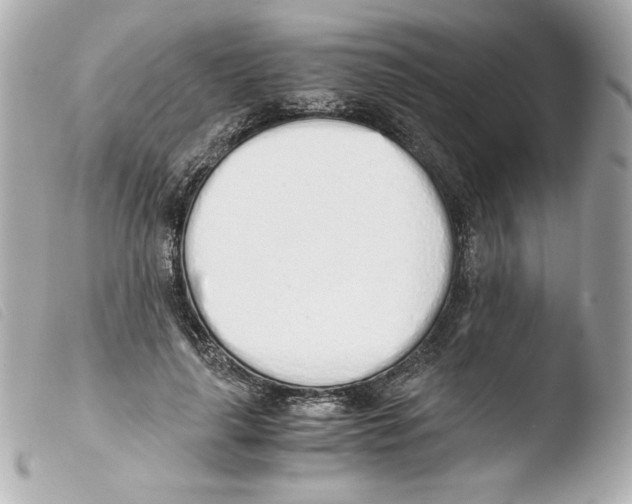 X0000103500643200810101047