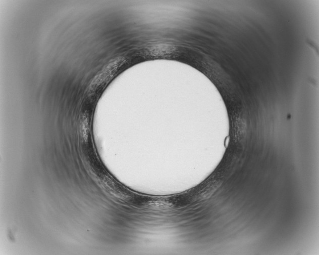 X0000103500644200810101047