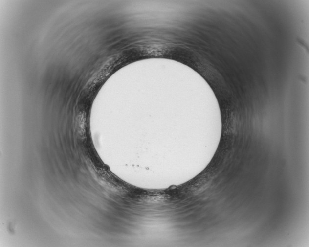 X0000103500646200810101047