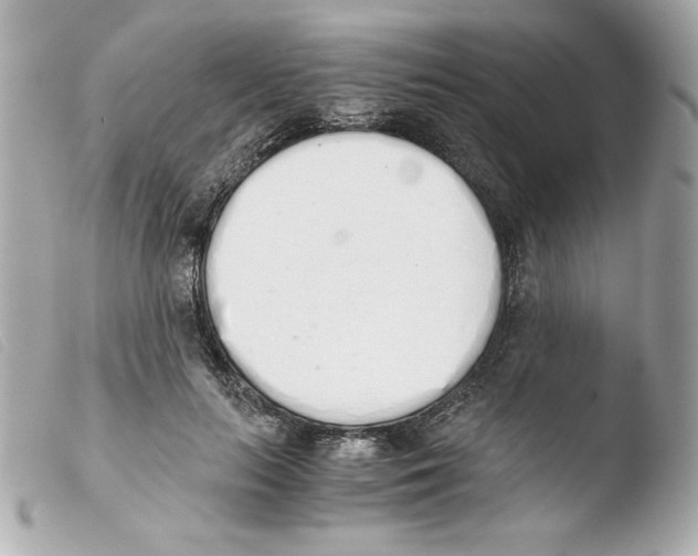 X0000103500647200810101047