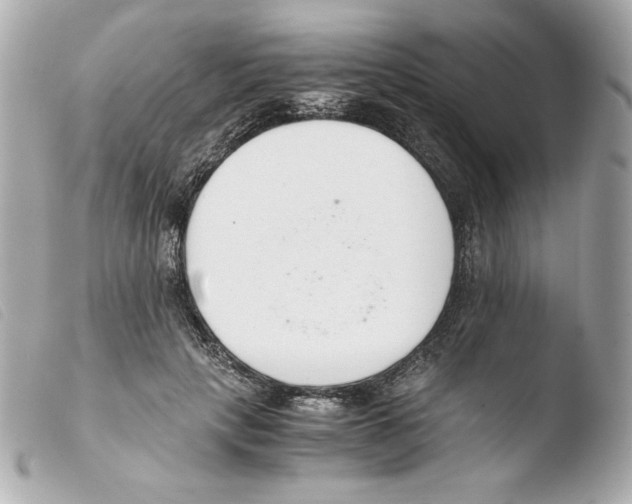 X0000103500649200810101047