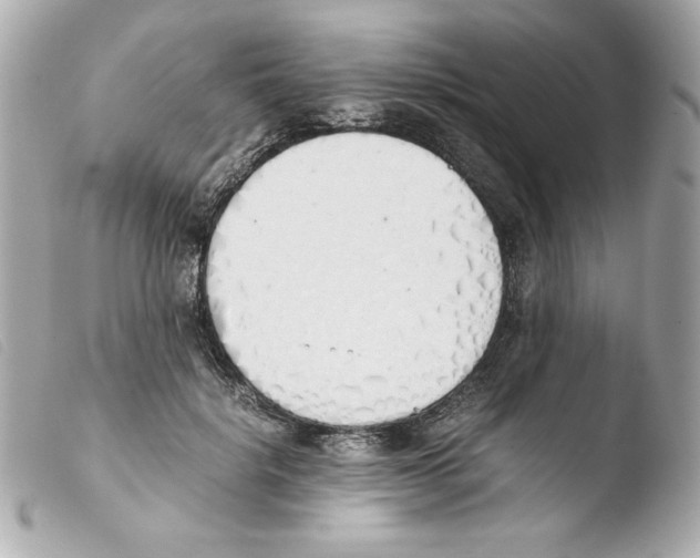 X0000103500652200810101047