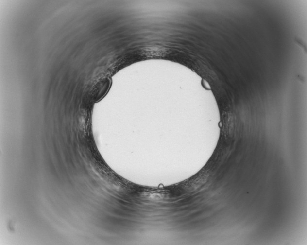 X0000103500655200810101047