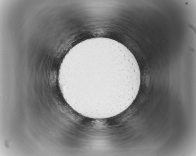 X0000103500660200810101047