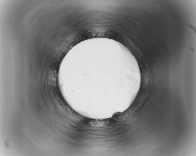 X0000103500661200810101047