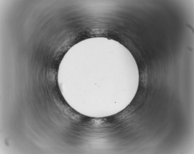 X0000103500662200810101047