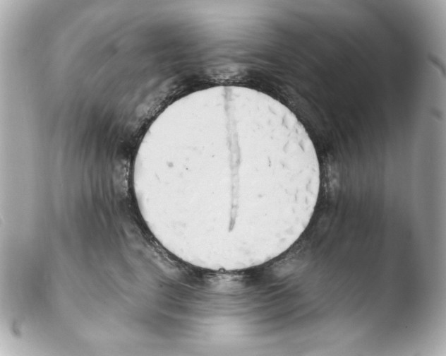 X0000103500664200810101047