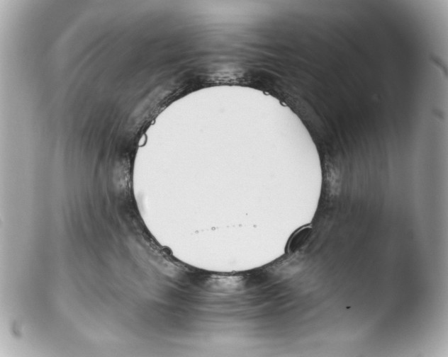 X0000103500665200810101047