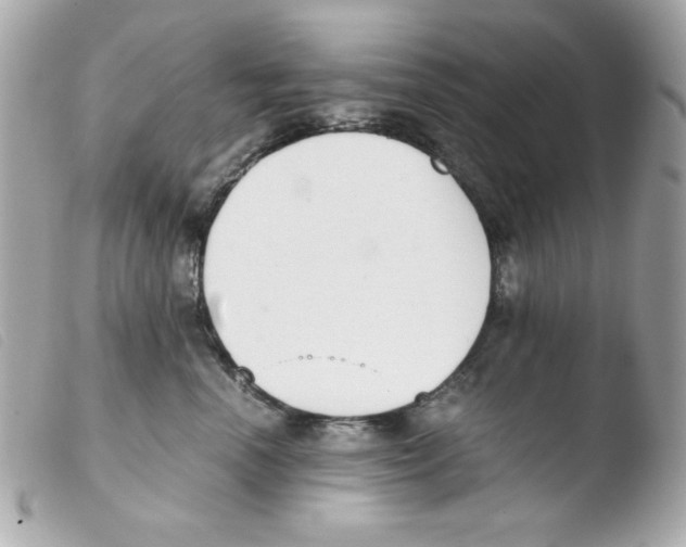 X0000103500666200810101047