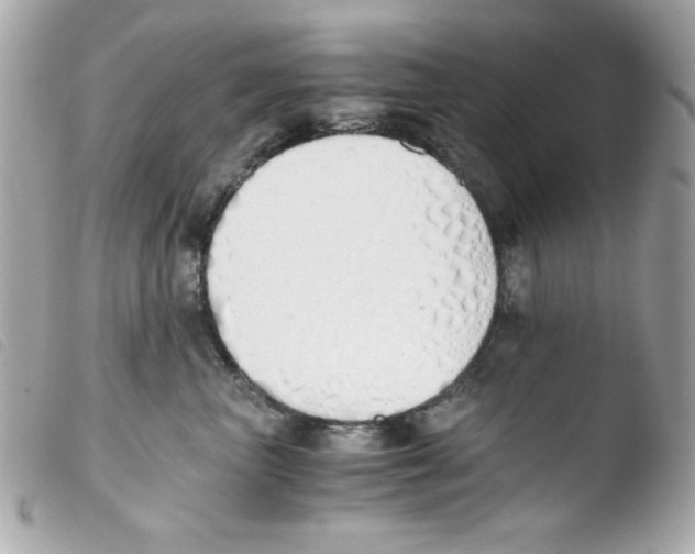 X0000103500667200810101047