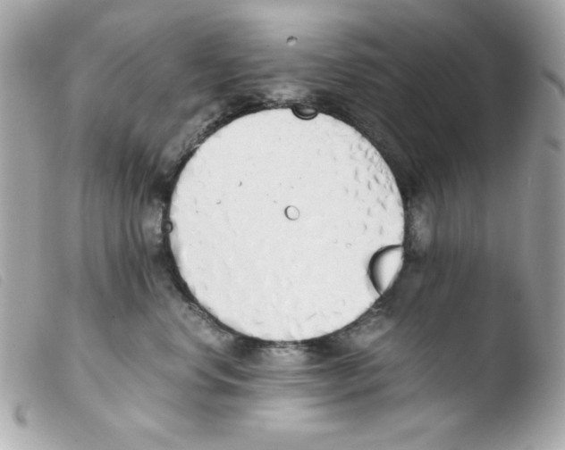 X0000103500668200810101047