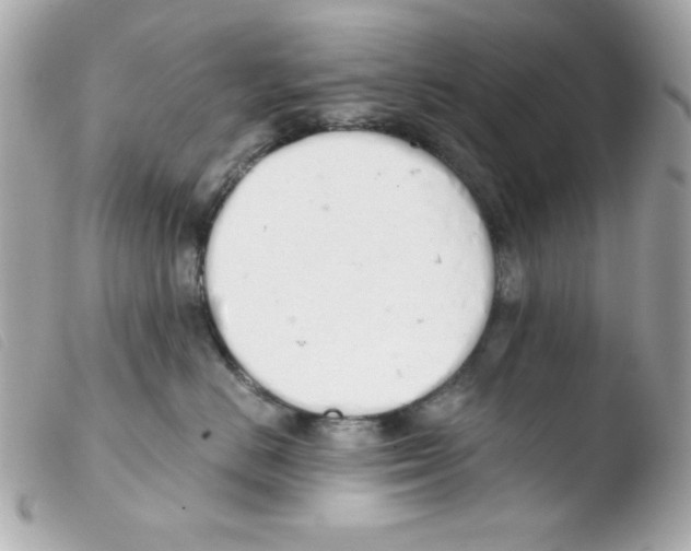 X0000103500670200810101047