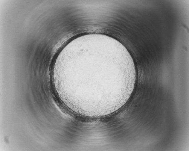 X0000103500674200810101047