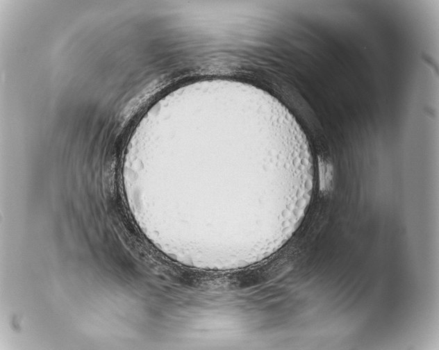 X0000103500675200810101047