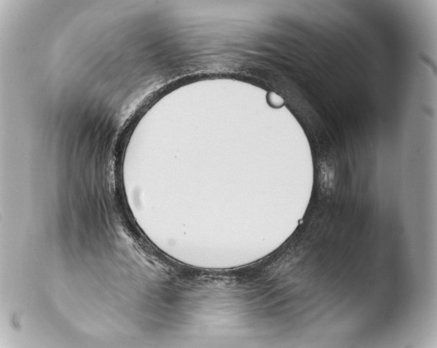 X0000103500676200810101047