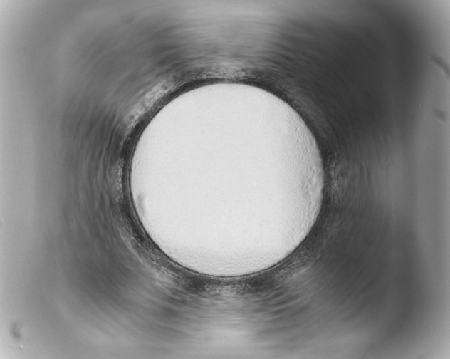 X0000103500679200810101047