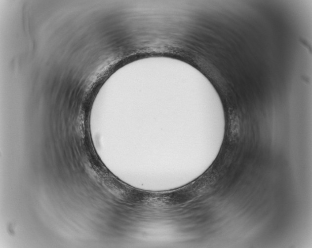 X0000103500680200810101047