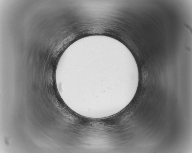 X0000103500681200810101047