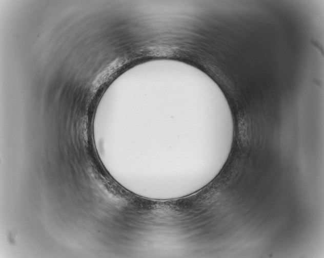 X0000103500682200810101047