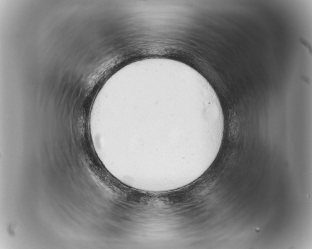 X0000103500683200810101046