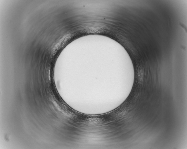 X0000103500686200810101046