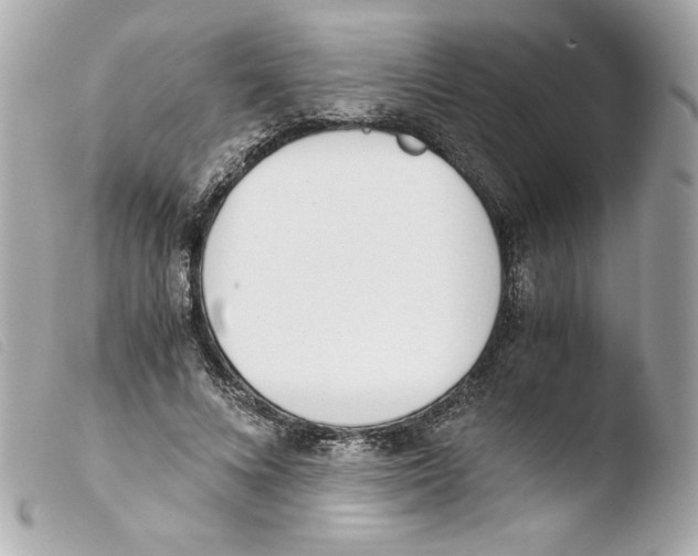 X0000103500688200810101046