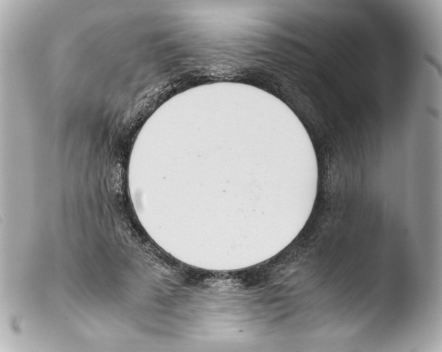 X0000103500689200810101046