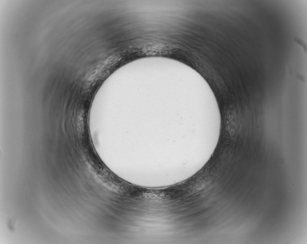 X0000103500690200810101046