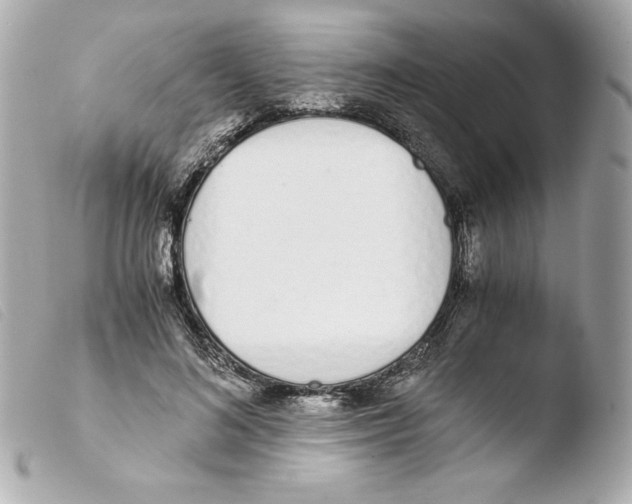 X0000103500692200810101046