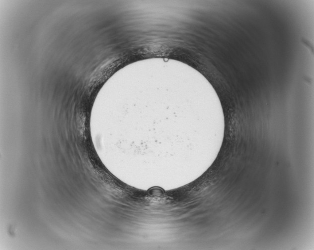 X0000103500693200810101046