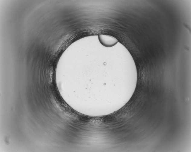 X0000103500694200810101046