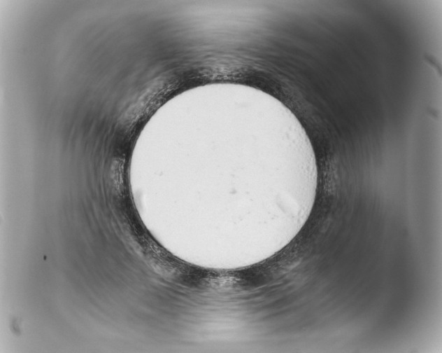 X0000103500695200810101046