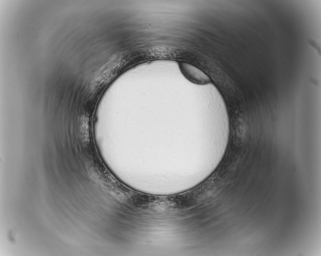 X0000103500696200810101046