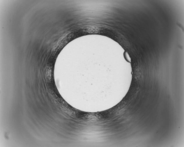 X0000103500697200810101046