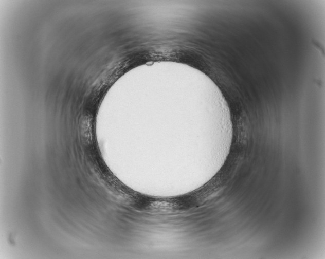 X0000103500699200810101046