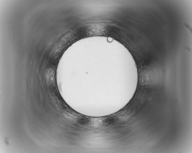 X0000103500701200810101046