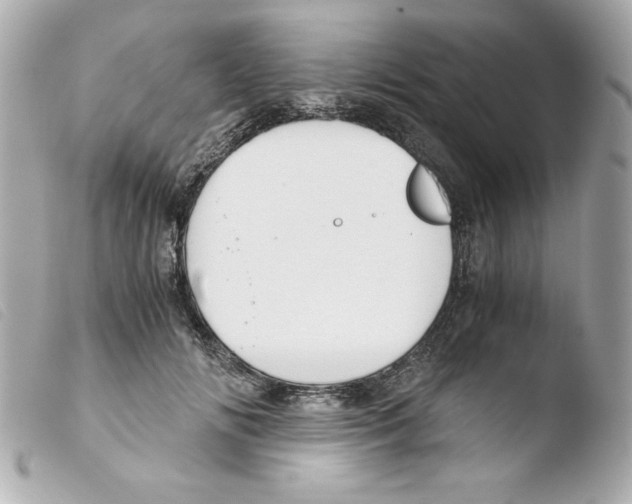 X0000103500702200810101046