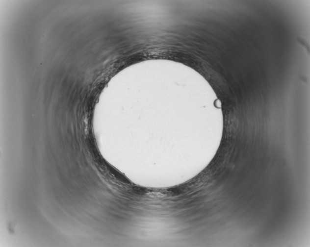 X0000103500703200810101046