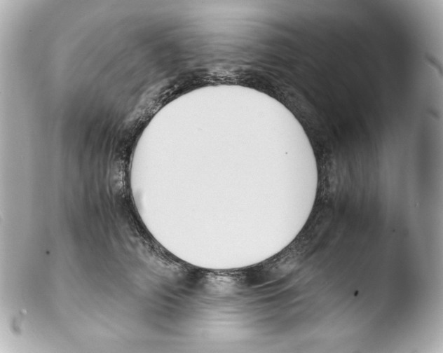 X0000103500706200810101046