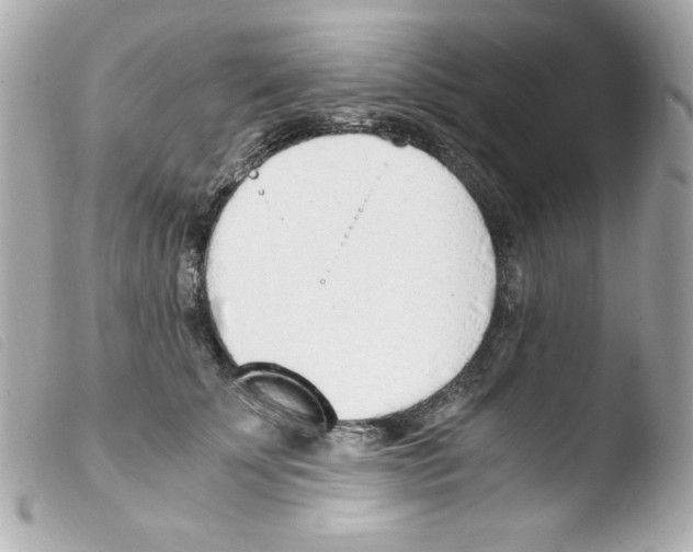 X0000103500707200810101046