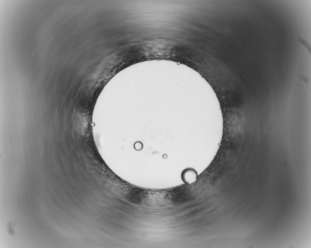 X0000103500709200810101046