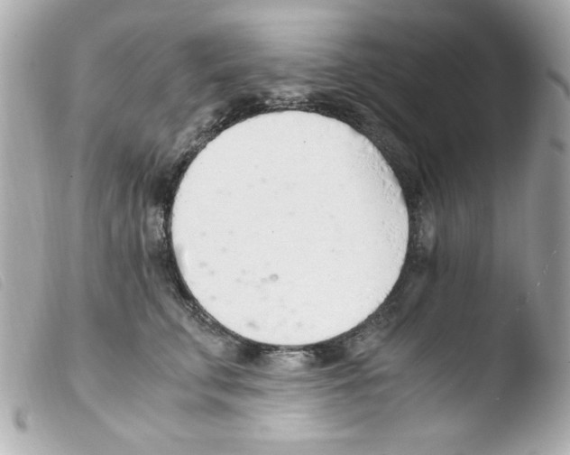 X0000103500711200810101046