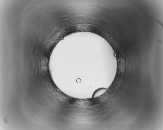 X0000103500712200810101046