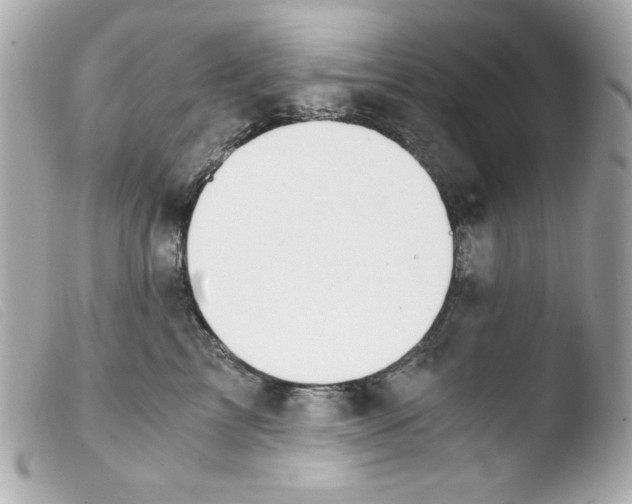 X0000103500713200810101046